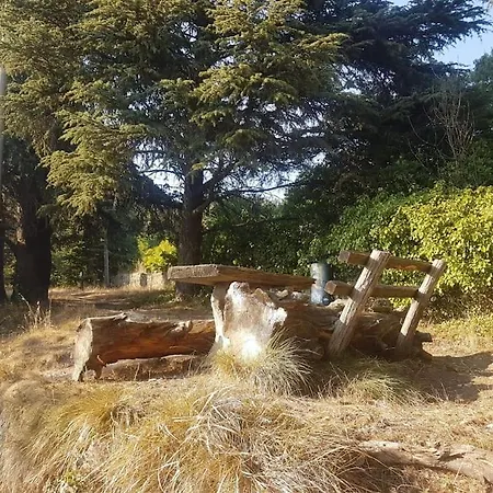 La Casa Di Ale 热那亚